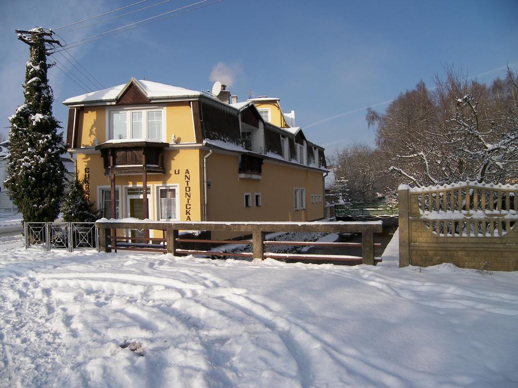 Penzion U Antonickova Pramene Marianske Lazne Exterior photo